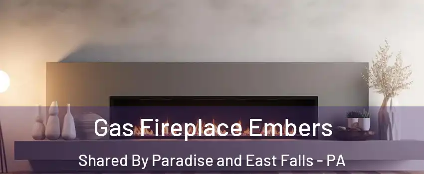 Gas Fireplace Embers Shared By Paradise and East Falls - PA