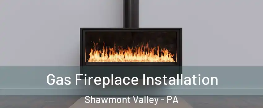 Gas Fireplace Installation Shawmont Valley - PA