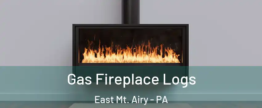 Gas Fireplace Logs East Mt. Airy - PA