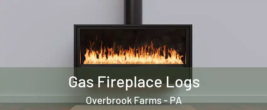 Gas Fireplace Logs Overbrook Farms - PA