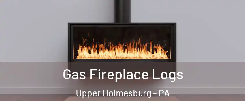 Gas Fireplace Logs Upper Holmesburg - PA