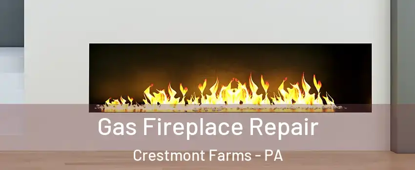 Gas Fireplace Repair Crestmont Farms - PA