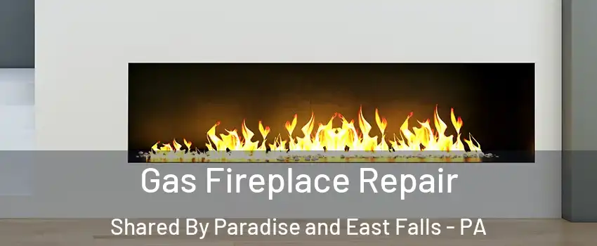 Gas Fireplace Repair Shared By Paradise and East Falls - PA