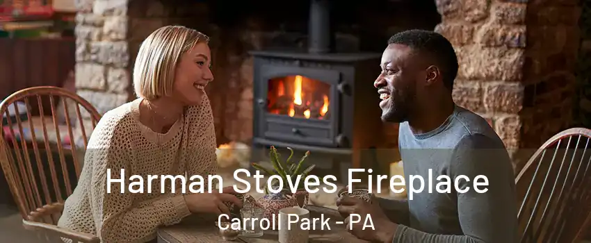 Harman Stoves Fireplace Carroll Park - PA