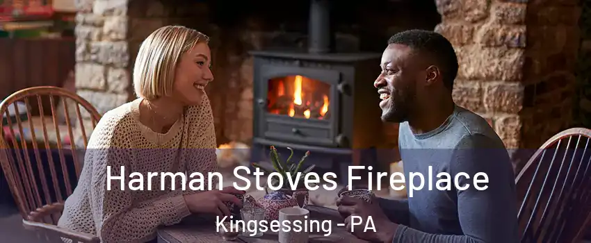 Harman Stoves Fireplace Kingsessing - PA