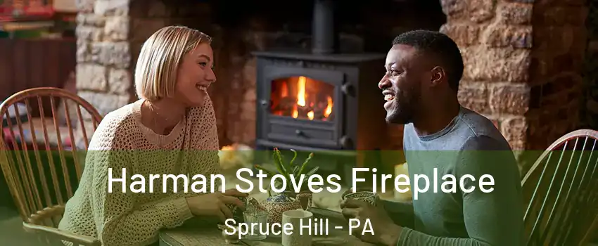 Harman Stoves Fireplace Spruce Hill - PA