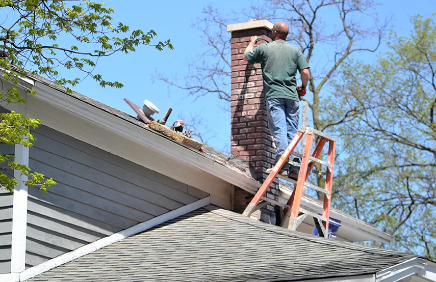 Chimney & Fireplace Inspections Services in Philadelphia, PA