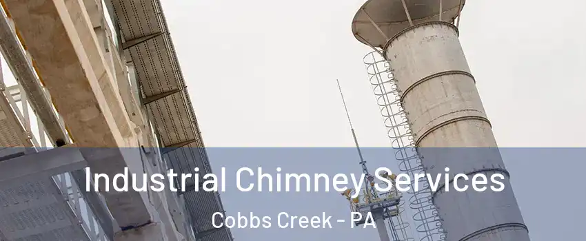 Industrial Chimney Services Cobbs Creek - PA