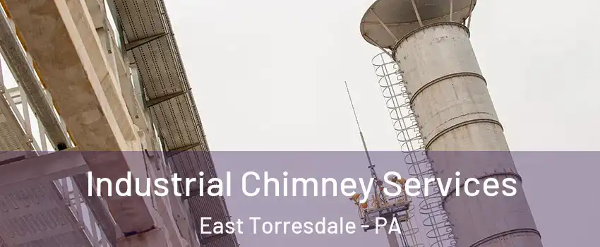 Industrial Chimney Services East Torresdale - PA