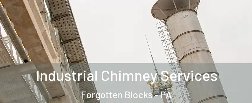 Industrial Chimney Services Forgotten Blocks - PA