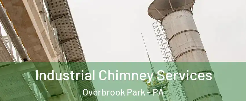 Industrial Chimney Services Overbrook Park - PA