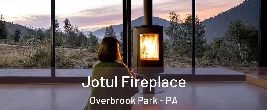 Jotul Fireplace Overbrook Park - PA