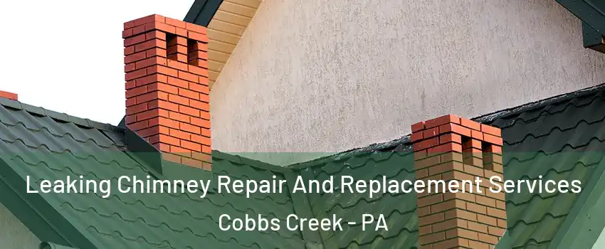 Leaking Chimney Repair And Replacement Services Cobbs Creek - PA