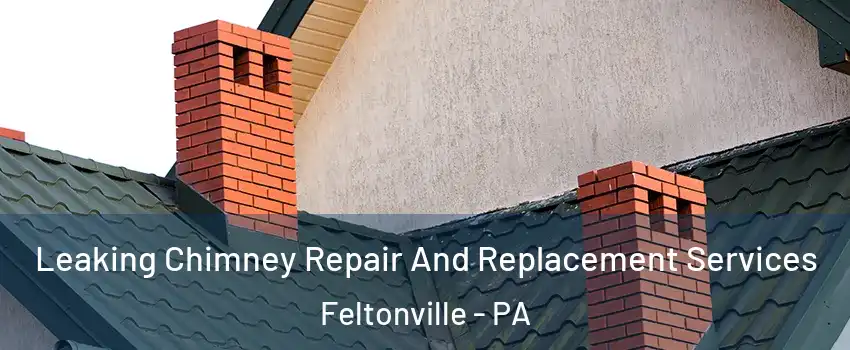 Leaking Chimney Repair And Replacement Services Feltonville - PA