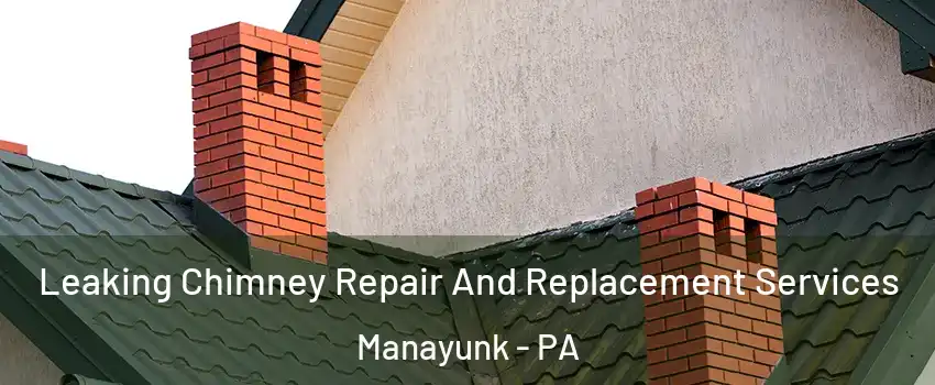 Leaking Chimney Repair And Replacement Services Manayunk - PA