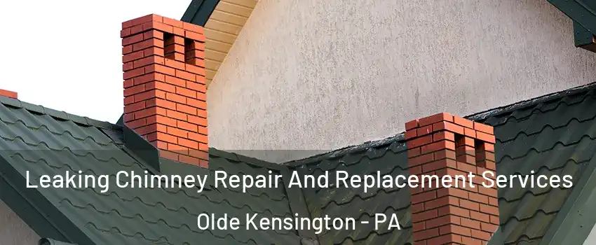 Leaking Chimney Repair And Replacement Services Olde Kensington - PA