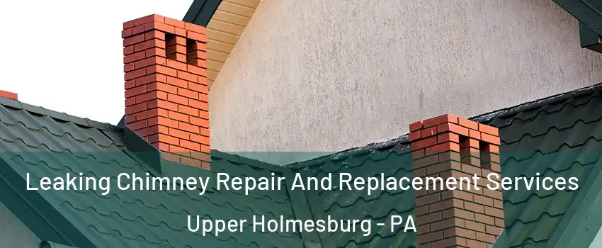 Leaking Chimney Repair And Replacement Services Upper Holmesburg - PA