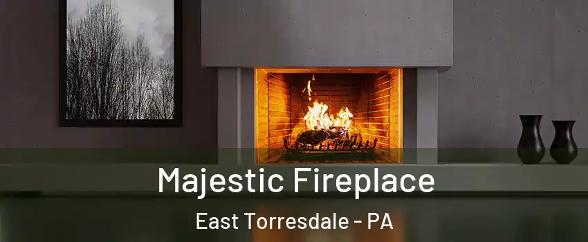 Majestic Fireplace East Torresdale - PA