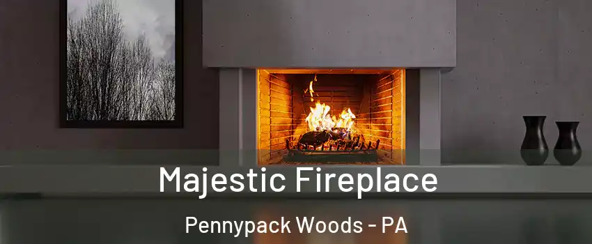 Majestic Fireplace Pennypack Woods - PA