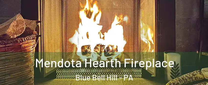 Mendota Hearth Fireplace Blue Bell Hill - PA