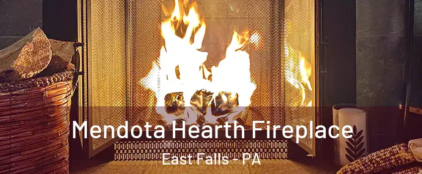 Mendota Hearth Fireplace East Falls - PA