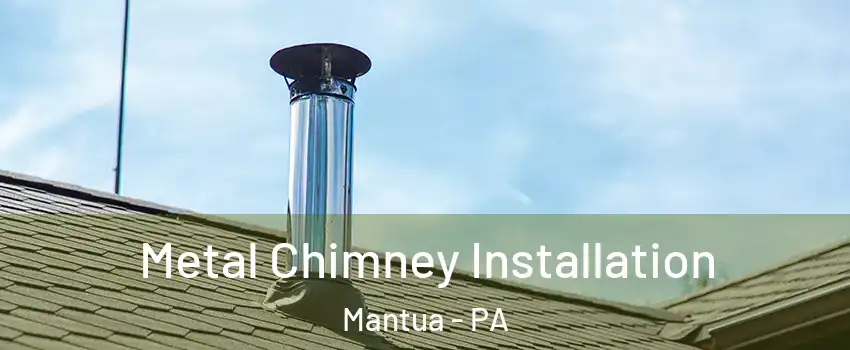 Metal Chimney Installation Mantua - PA