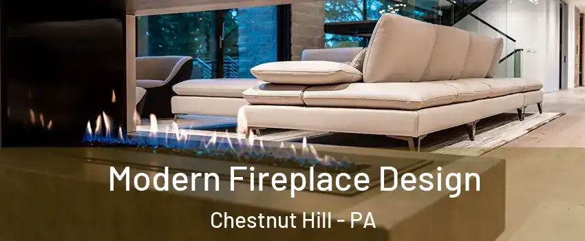 Modern Fireplace Design Chestnut Hill - PA