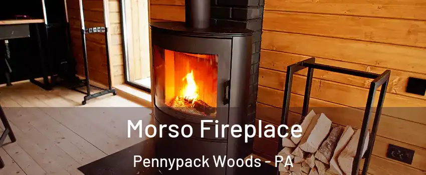 Morso Fireplace Pennypack Woods - PA