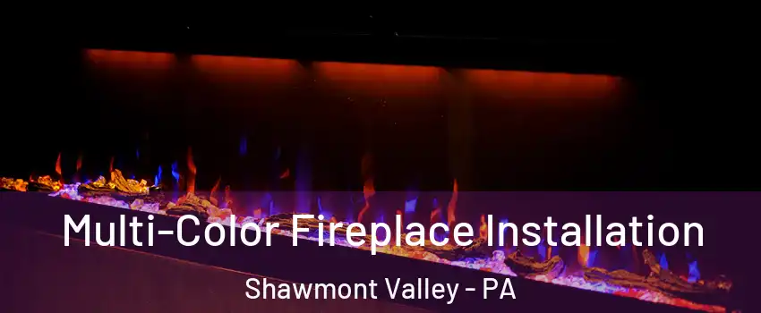 Multi-Color Fireplace Installation Shawmont Valley - PA