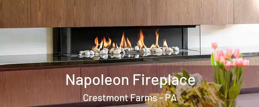 Napoleon Fireplace Crestmont Farms - PA