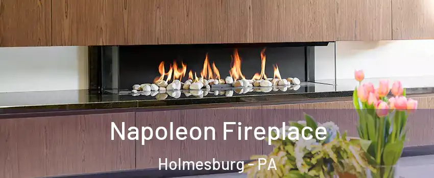 Napoleon Fireplace Holmesburg - PA