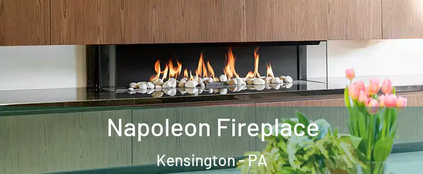 Napoleon Fireplace Kensington - PA