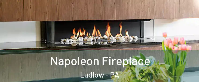 Napoleon Fireplace Ludlow - PA