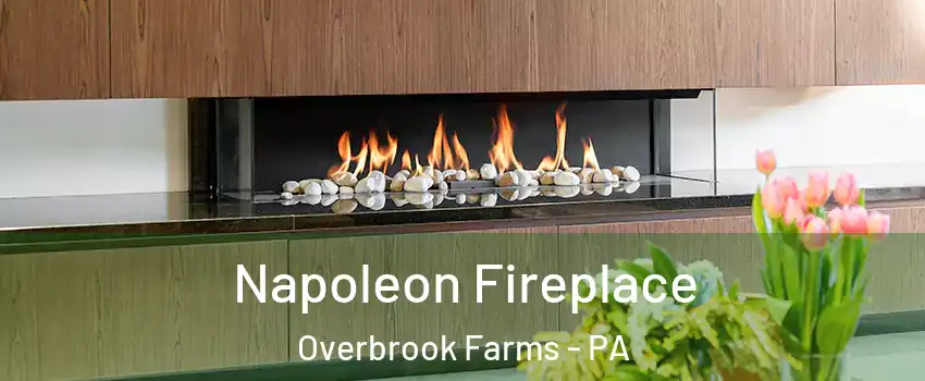 Napoleon Fireplace Overbrook Farms - PA