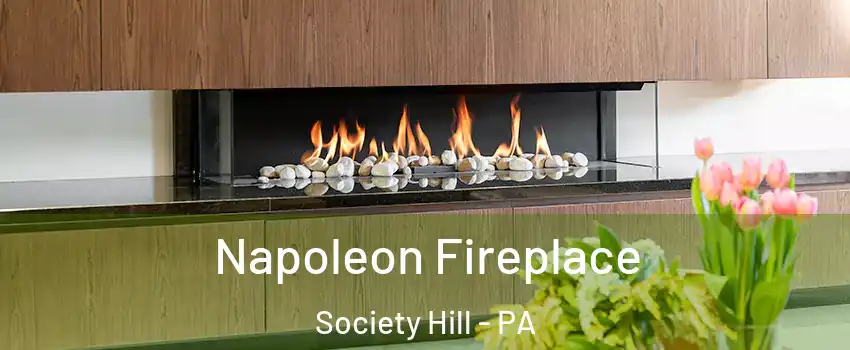 Napoleon Fireplace Society Hill - PA