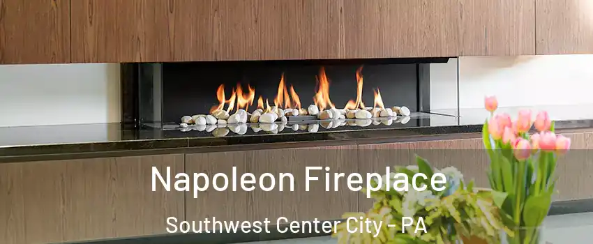 Napoleon Fireplace Southwest Center City - PA