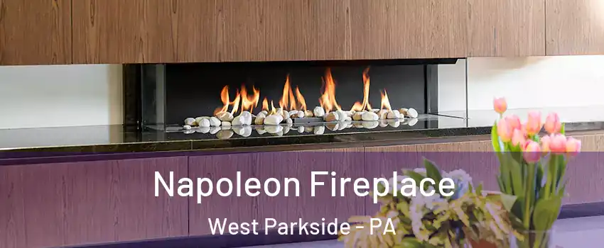 Napoleon Fireplace West Parkside - PA