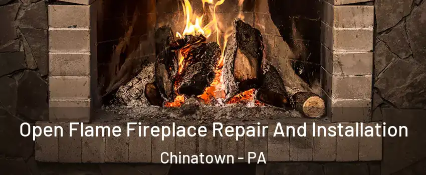 Open Flame Fireplace Repair And Installation Chinatown - PA