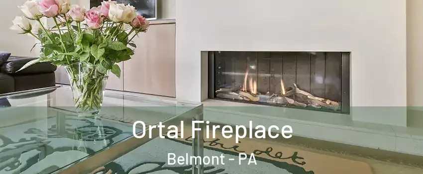 Ortal Fireplace Belmont - PA