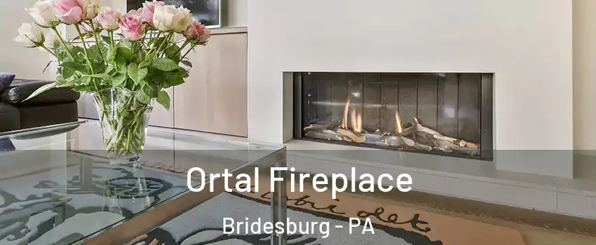 Ortal Fireplace Bridesburg - PA