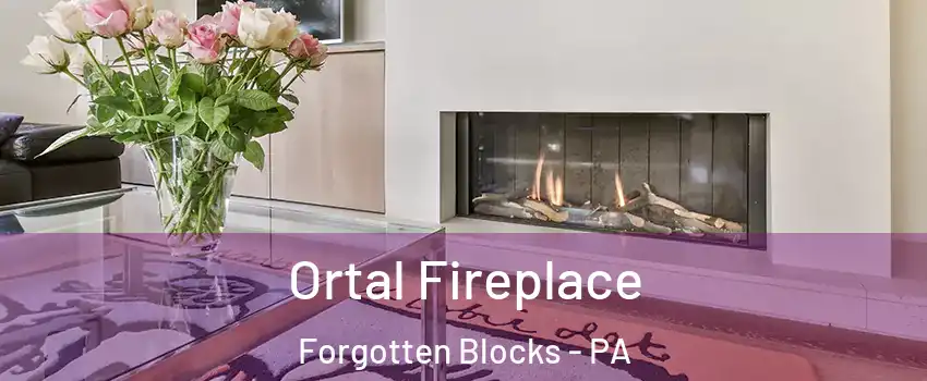 Ortal Fireplace Forgotten Blocks - PA