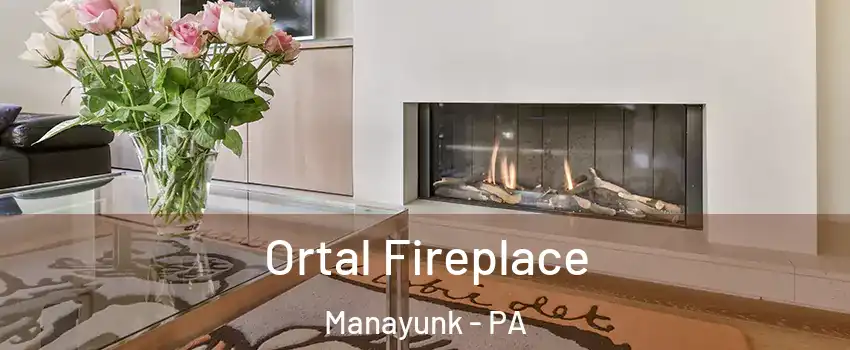 Ortal Fireplace Manayunk - PA