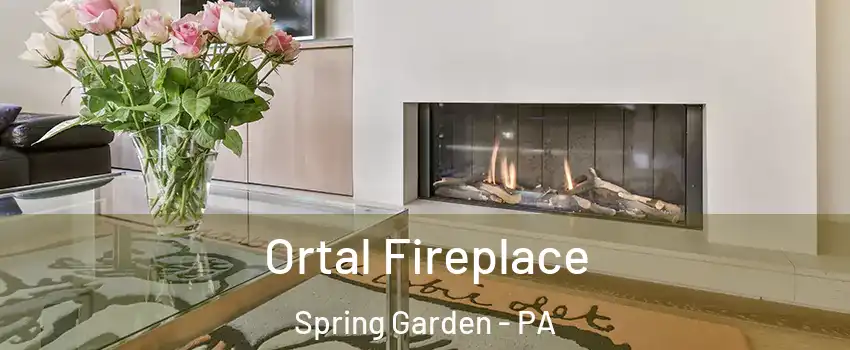 Ortal Fireplace Spring Garden - PA