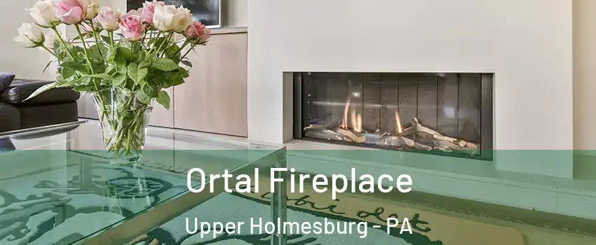 Ortal Fireplace Upper Holmesburg - PA