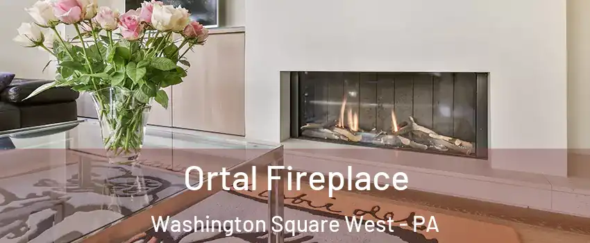 Ortal Fireplace Washington Square West - PA