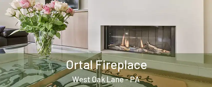 Ortal Fireplace West Oak Lane - PA