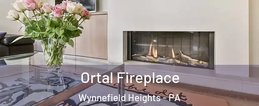 Ortal Fireplace Wynnefield Heights - PA