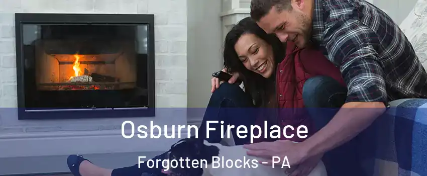 Osburn Fireplace Forgotten Blocks - PA