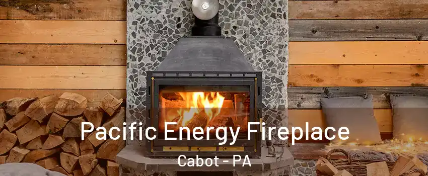 Pacific Energy Fireplace Cabot - PA