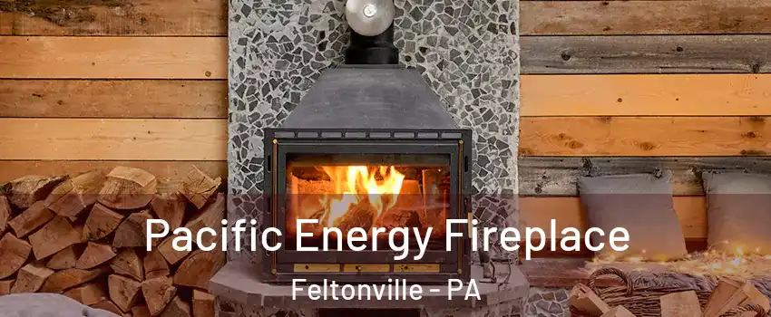 Pacific Energy Fireplace Feltonville - PA